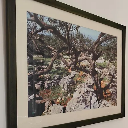 アパート Poluotok ザダル