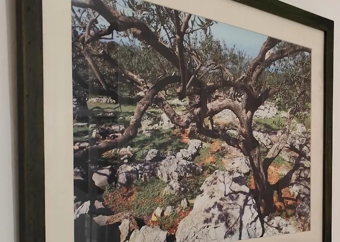 Apartment Poluotok Zadar